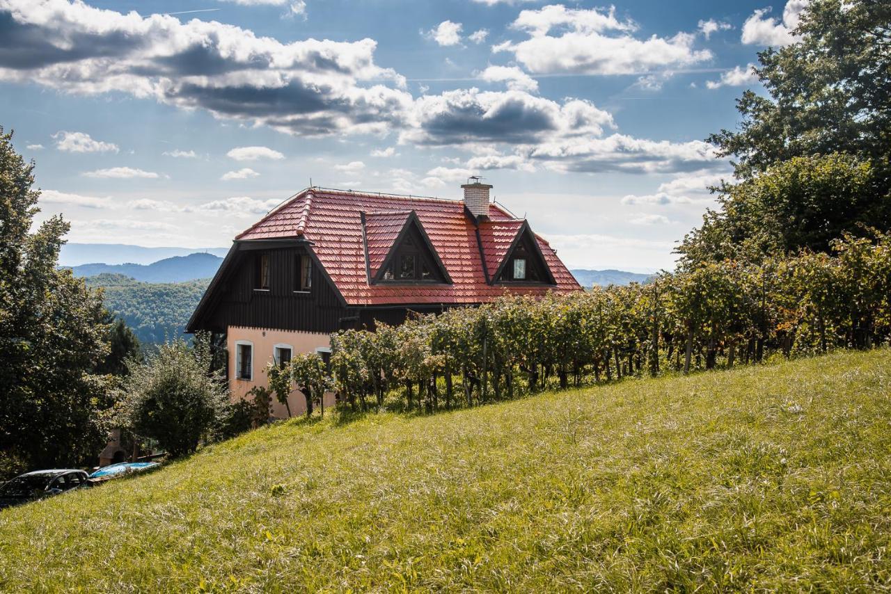 Authentic Countryside Villa With Hot Tub Veliki Kamen Экстерьер фото